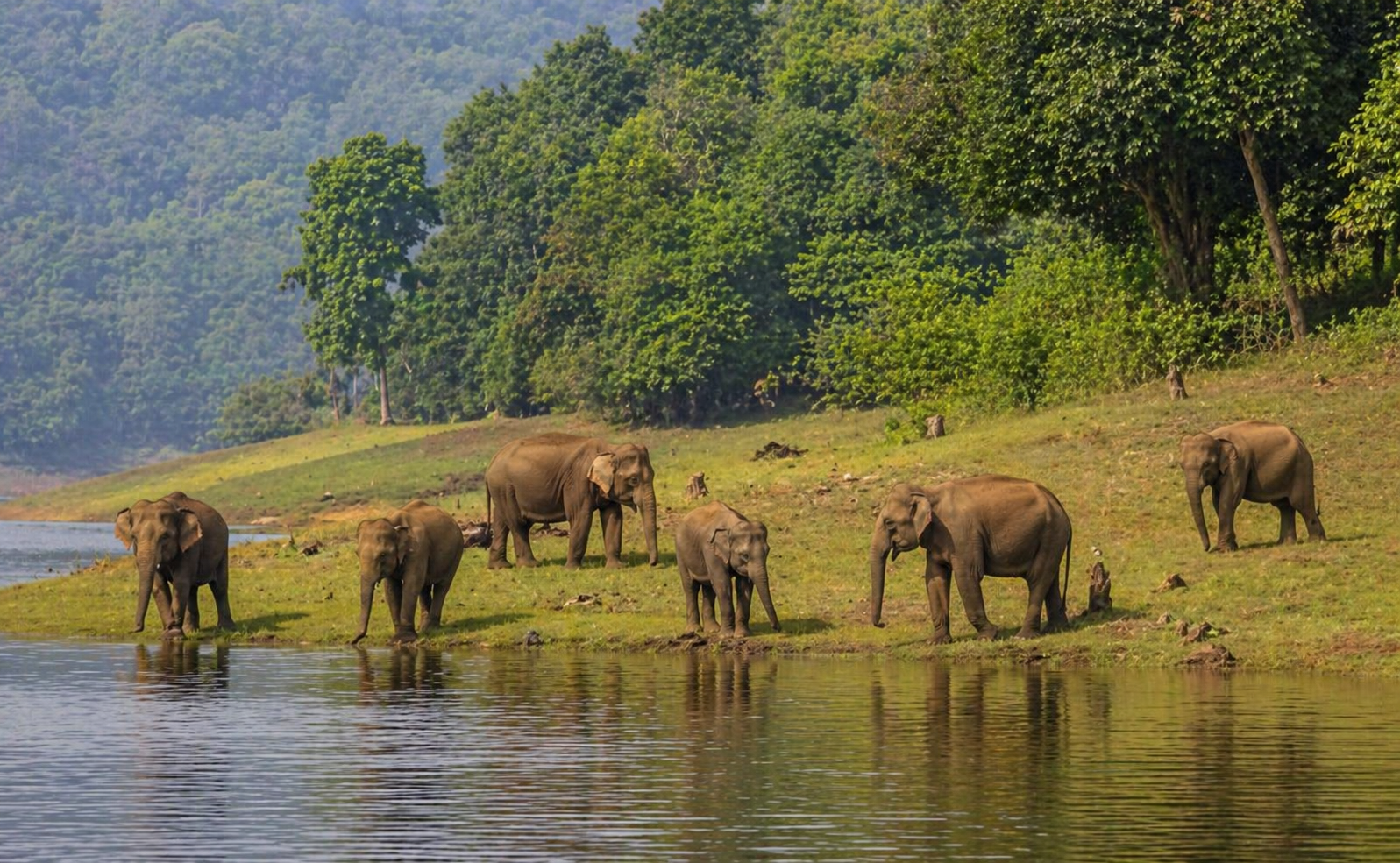 Kerala Canvas Journey