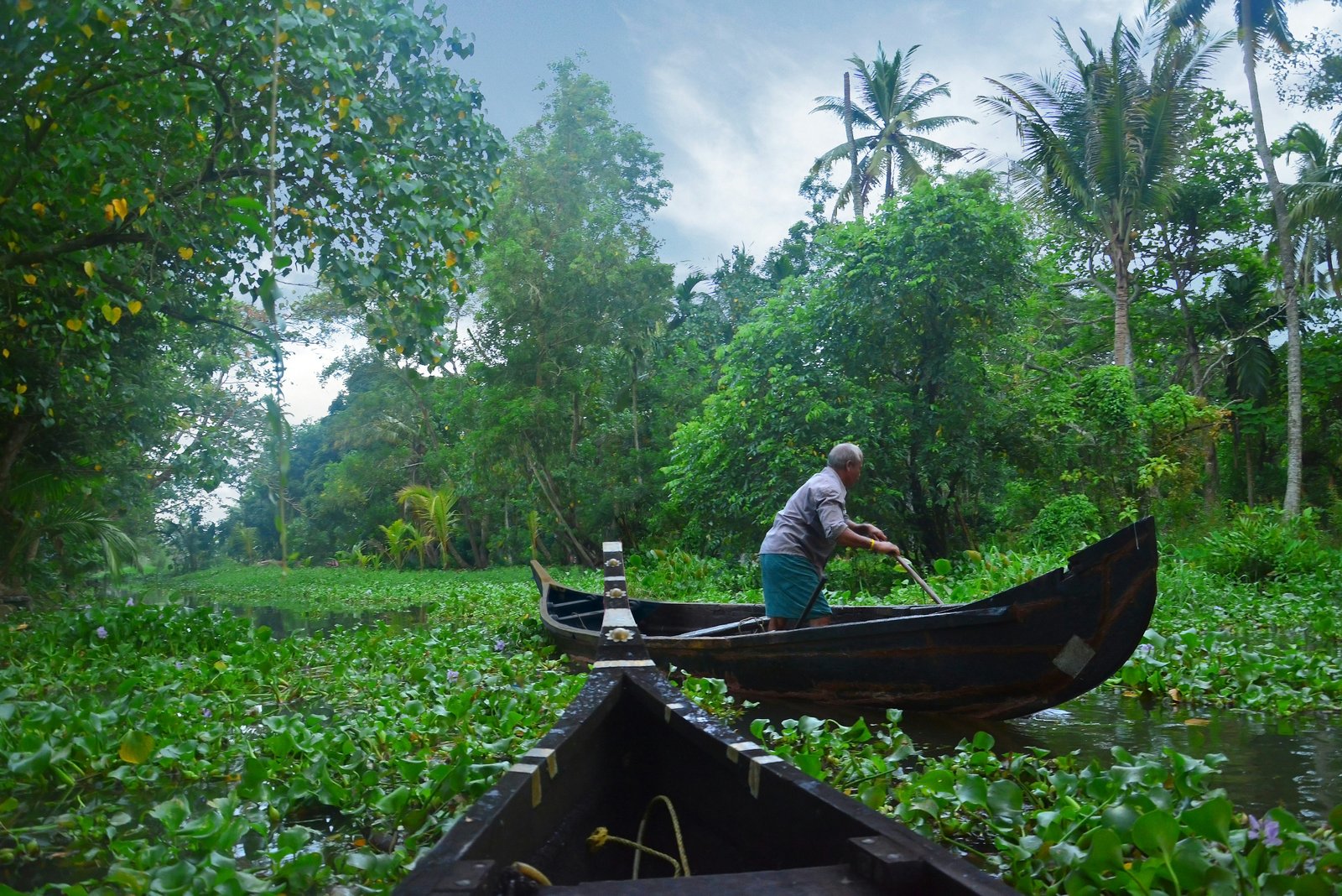 Alappuzha 