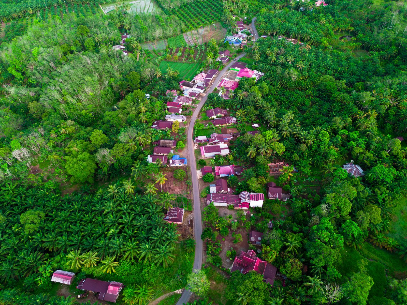 Lagoon & Village Journey