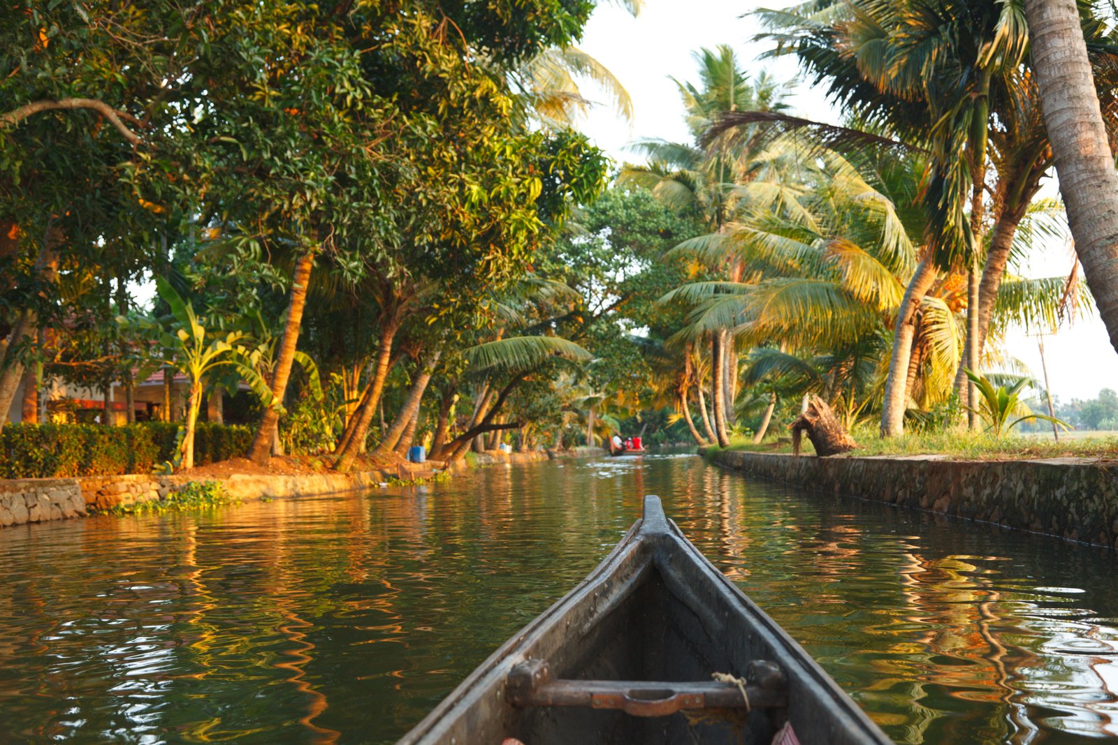 Kerala Signature Backwater Journey