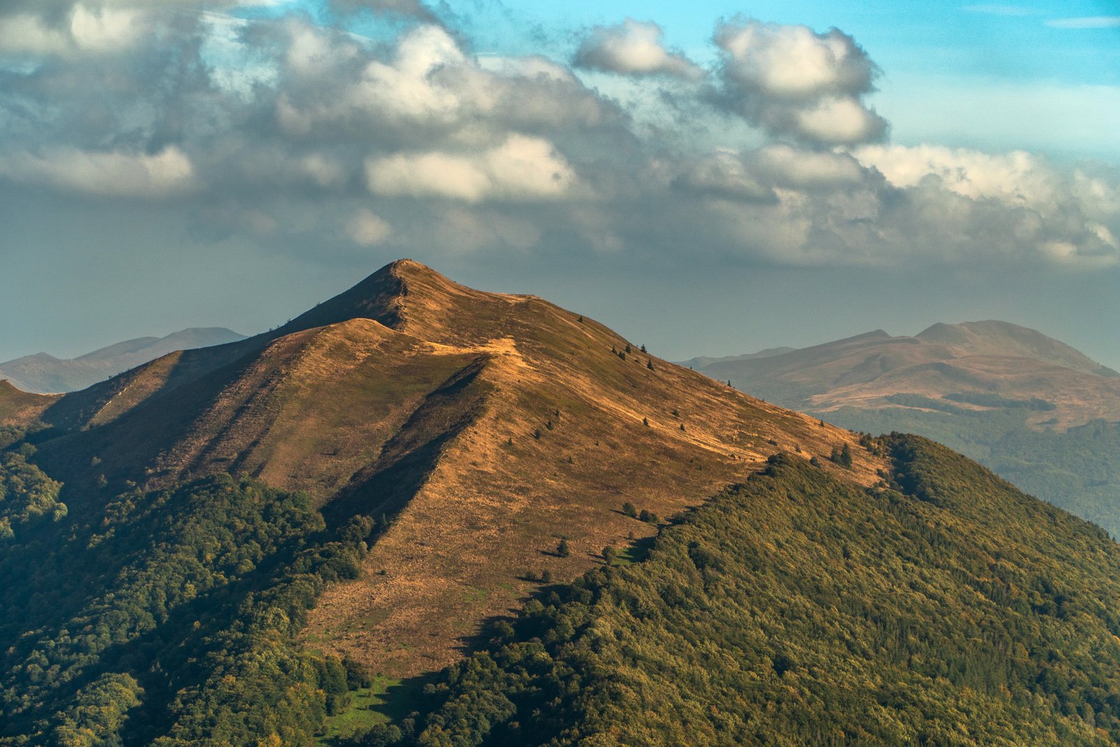 Nilgiri Mountain Escape