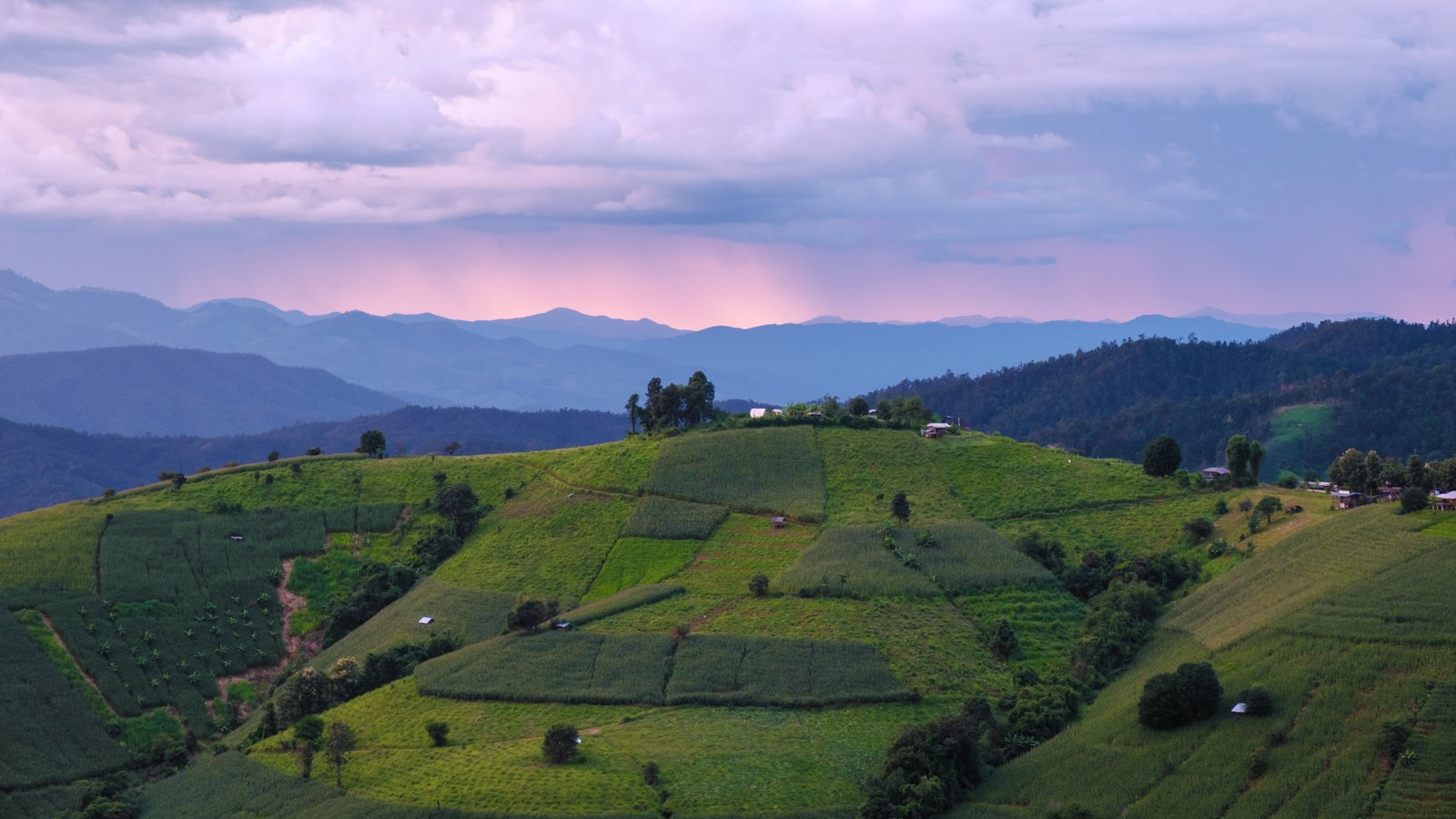 Coorg Coffee Odyssey