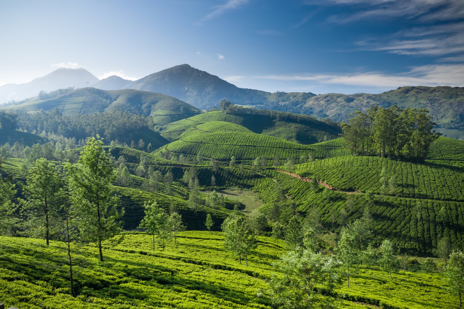 Nilgiri Heritage Route