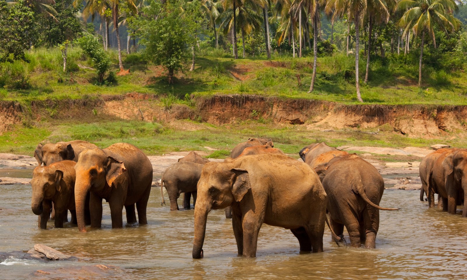 Thekkady